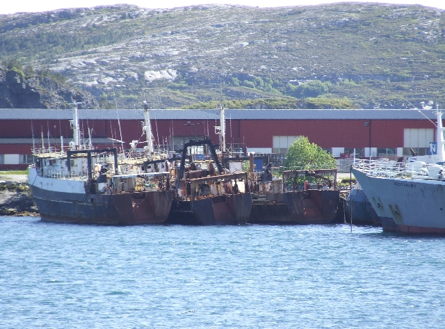 Old Boats.JPG